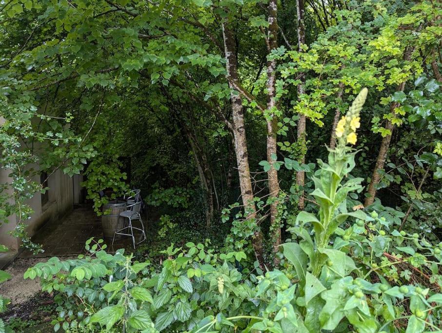 Blesignac Gite Zen Dans Les Bois מראה חיצוני תמונה